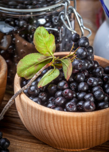 black-aronia