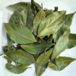 The Aromatic Journey: A Bay Leaves Guide and Their Global Varieties
