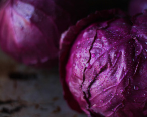 purple-cabbage-powder