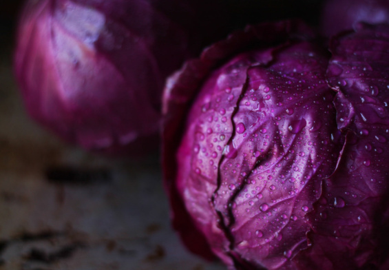 purple-cabbage-powder