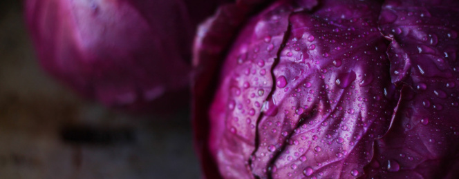purple-cabbage-powder